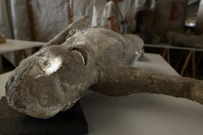 Visit Pompeii Sorrento Positano - Customizable Itinerary Focusing on Pompeii, Sorrento, and Positano