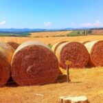 Visit Siena and San Gimignano with lunch at a family farm - Convenient Pickup at Your Accommodation in Florence