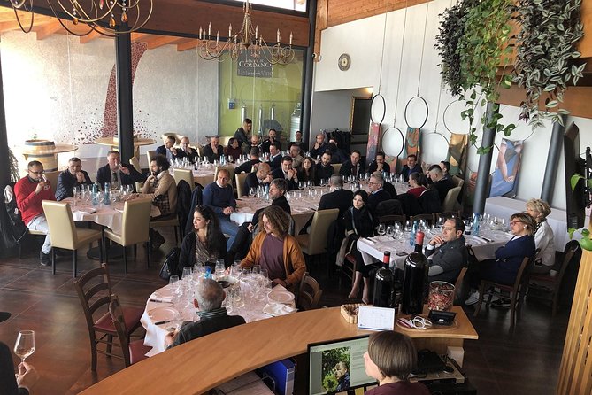 Visit the Marchesi de Cordano winery and taste its wines - The Winery Visit and Production Insights