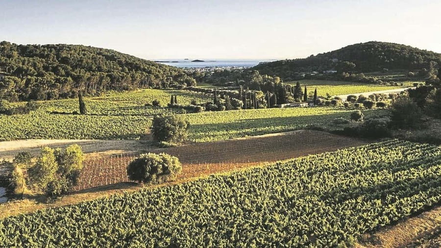 Visit the vineyards and discover Bandol wines - Visiting a Leading Bandol Estate