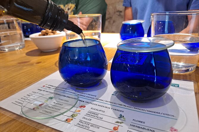 Visit to olive grove and olive mill with oil tasting and tasting - Supporting a Rural Development Project