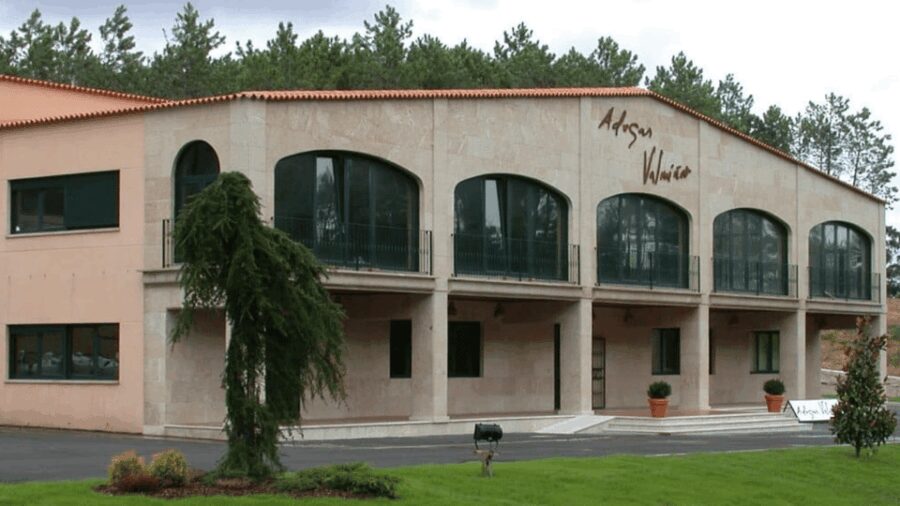 Visit to the Adegas Valmiñor winery and tasting - Exploring Adegas Valmiñor’s Facilities and Process