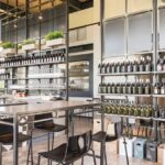 Visit to the cellar and tasting - Exploring the Vineyard and Wildlife Oasis