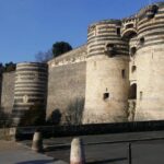 Visit to the Château d'Angers and wine tasting - Wine Tasting at a Local Vineyard: Iconic Regional Wines