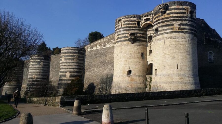 Visit to the Château d'Angers and wine tasting - Wine Tasting at a Local Vineyard: Iconic Regional Wines