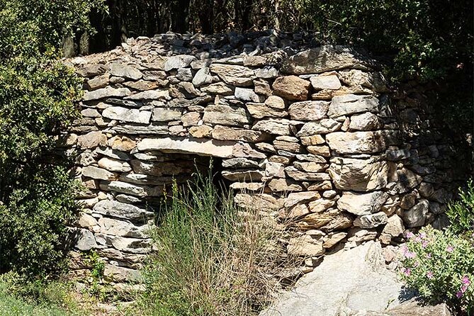 Visit to the Faugères Vineyards with Picnic from Béziers - Visiting the First Faugères Wine Estate