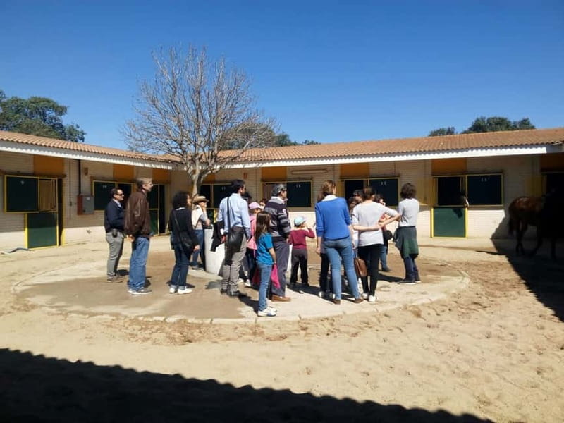 Visita guiada a las Carreras/Hipódromo de la Zarzuela-Madrid - Discovering the Hipódromo de la Zarzuela in Madrid