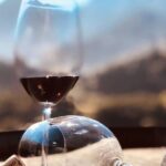 Visiting local Vineyard With Wine Tasting & Lunch included - The Traditional Madeira Espetada Lunch and Wine Pairing