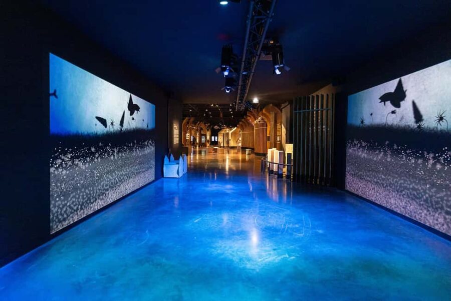 Visitor trail of the Cité in Beaune - Exploring the Permanent Scenographic Route