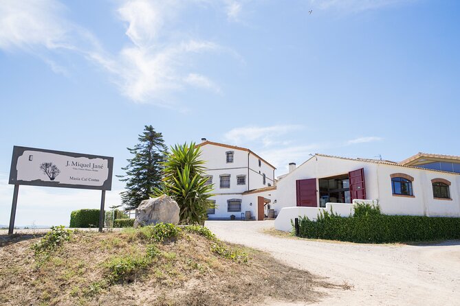 Viticulture and Wine-Tasting 3-Hour Trip from Barcelona - Exploring the Vineyard Gardens of Alt Penedes