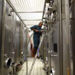 Vitteaut-Alberti: cellar tour, tasting of Crémants de Bourgogne - Exploring the Vitteaut-Alberti Cellars