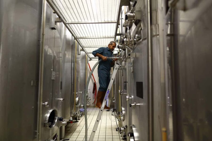 Vitteaut-Alberti: cellar tour, tasting of Crémants de Bourgogne - Exploring the Vitteaut-Alberti Cellars