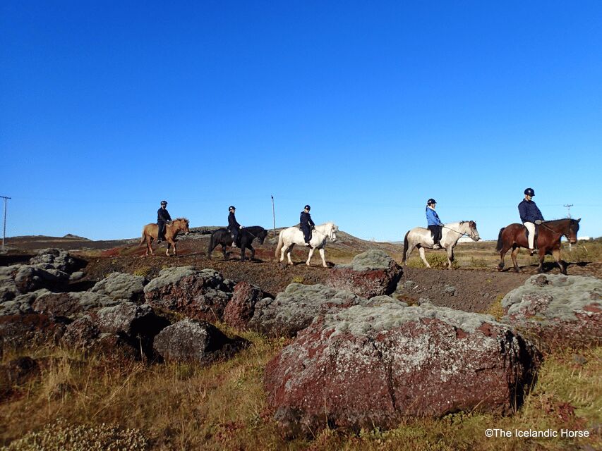 Volcanic Landscape Iceland Horse Riding Tours - Starting Point and Logistics Made Simple