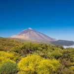 Volcano & Mt Teide Private Tour in Tenerife - Starting at Teide National Park: The Heart of the Tour