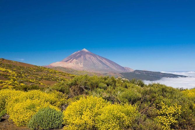 Volcano & Mt Teide Private Tour in Tenerife - Starting at Teide National Park: The Heart of the Tour