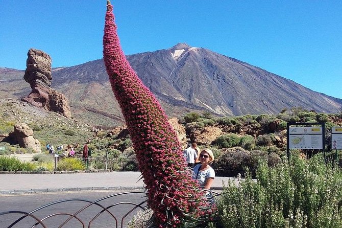 Volcano Teide - Masca ravine. Guided Tour from Puerto de la Cruz - Tenerife - Photo Opportunity at Los Roques de Garcia