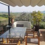 Volterra: Private Picnic in the Tuscan Countryside - The Lemon Grove Setting: Aromatic and Inviting
