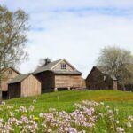 Voss: Folk Museum Entry Ticket - Exploring Mølstertunet: A Heritage-Listed Farmstead