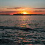 VRSAR: Night Boat Tour to Rovinj with Dolphin Watching - Spotting Playful Dolphins in the Wild