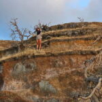 Vulcano Island: Panoramic Walk - What Makes This Tour Stand Out on Vulcano Island?