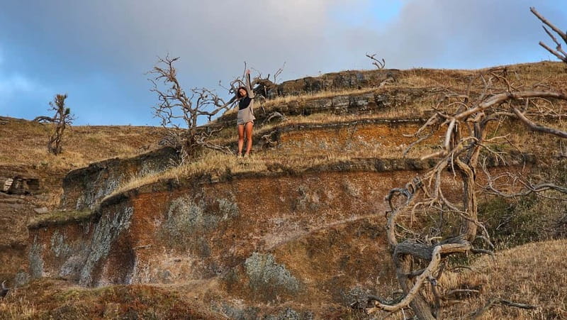 Vulcano Island: Panoramic Walk - What Makes This Tour Stand Out on Vulcano Island?