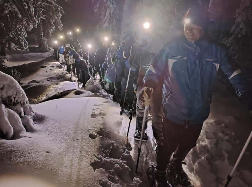 Vuokatti: Northern Lights Snowshoeing Adventure - Hot Drinks, Snacks, and the Open Fire Experience