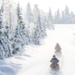 Vuokatti: Snowmobile Safari with Snacks and Hot Drinks - Discover Vuokatti’s Winter Landscape on a Guided Snowmobile Route