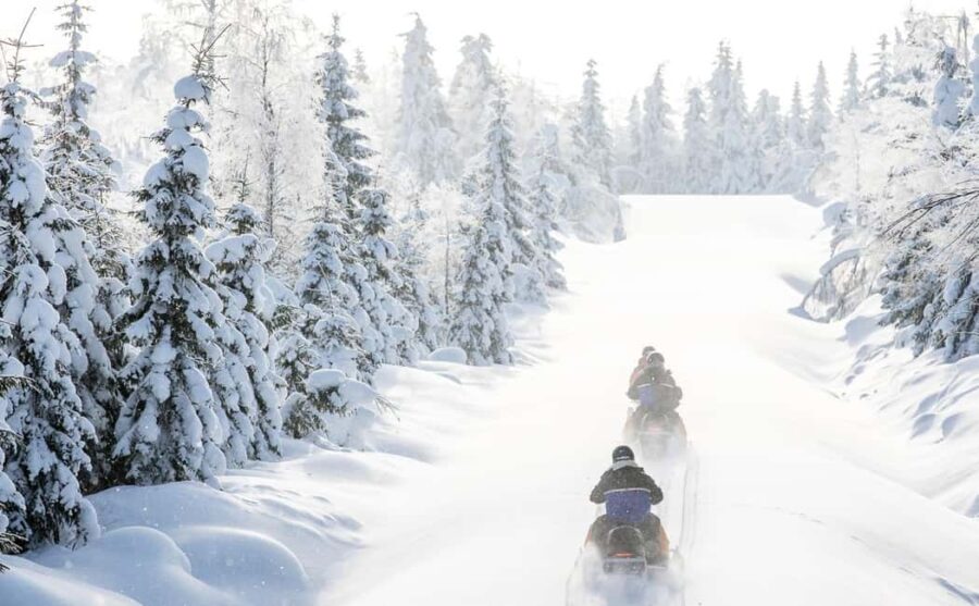 Vuokatti: Snowmobile Safari with Snacks and Hot Drinks - Discover Vuokatti’s Winter Landscape on a Guided Snowmobile Route
