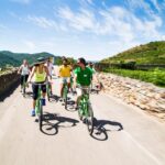 Wachau Valley Wine Tasting Bike Tour from Vienna - The Town of Dürnstein and Its Historic Charm