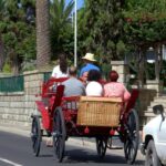 Wagon Ride Through Porto Santo - The Charm of Porto Santo’s Scenery from a Carriage