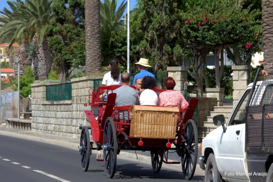 Wagon Ride Through Porto Santo - The Charm of Porto Santo’s Scenery from a Carriage