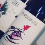 Walk among the rows of vineyards and wine tasting - Starting Point and Tour Flexibility in Sicily