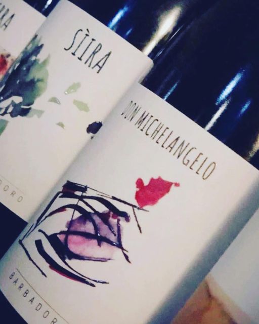 Walk among the rows of vineyards and wine tasting - Starting Point and Tour Flexibility in Sicily