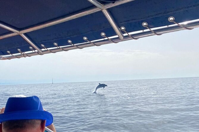 Walk and dolphin watching in Fuengirola + 1 drink - The Experience of Dolphin Watching in Fuengirola