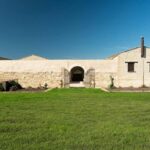 Walk through the vineyard and tasting - A Stroll Through the Vineyards of Alcamo Hills