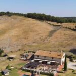 Walk through the vineyard with tasting - Scenic Walks Along the UNESCO Landscapes of Val dOrcia