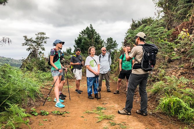 Walk with a local - Start with a Comfortable Pickup and Local Insights