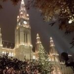 Walking on the historical trail of Viennese Christmas Trees - Exploring Vienna’s Historic Center and Its Illuminations