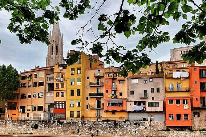 Walking Tour in Girona History and Gastronomy with Tasting - Viewing the Iconic "el Cul de la Lleona" and Legend
