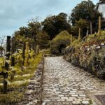 Walking Tour in Montmartre with a guide - Exploring the Wall of Love at Le mur des je taime