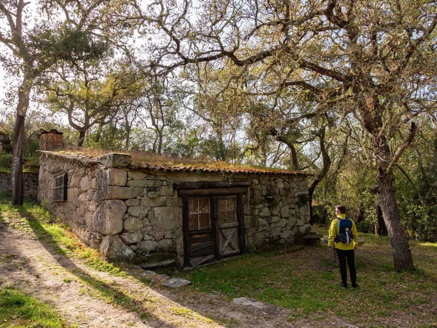 Walking Tour Quadrassal - Romeu - Starting Point Near Coordinates 41.5296, -7.0592