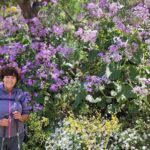 Wanderungen im grünen Gran Canaria - Discover the Beauty of Gran Canaria’s Seasonal Blooms