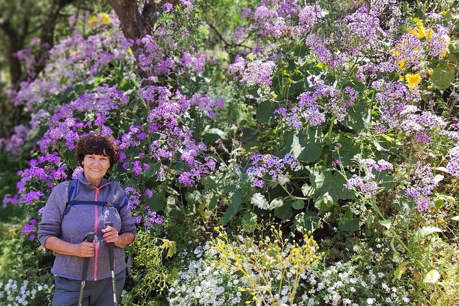 Wanderungen im grünen Gran Canaria - Discover the Beauty of Gran Canaria’s Seasonal Blooms