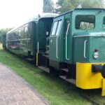 Warsaw: Bialowieza National Park and European Bison Tour - From Warsaw to the UNESCO World Heritage Bialowieza Forest