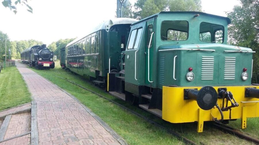 Warsaw: Bialowieza National Park and European Bison Tour - From Warsaw to the UNESCO World Heritage Bialowieza Forest