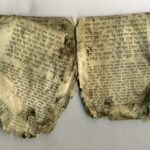 Warsaw: Jewish Heritage & Holocaust Walking Tour - Meet at Castle Square to Start the Journey Through Warsaw’s Jewish Past