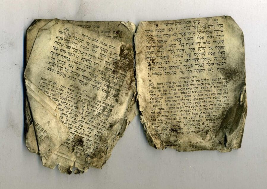 Warsaw: Jewish Heritage & Holocaust Walking Tour - Meet at Castle Square to Start the Journey Through Warsaw’s Jewish Past