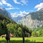 Wengen: Family-Friendly Countryside Farm Tour in Swiss Alps - Meeting Point and Logistics in Wengen