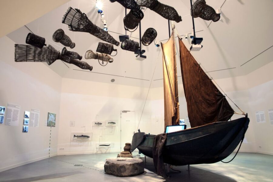 Werkendam: Boat Cruise and Biesbosch Museum Entry Ticket - Guided Boat Cruise Through De Biesboschs Narrow Trenches