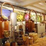 West Coast and Country Side full day Tour - Visiting Cannes: The Film Festival Capital